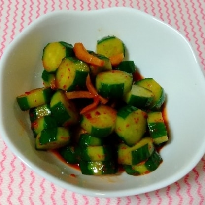 キムチの素を使いたくてレシピを検索しました!!
きゅうりと生姜は相性バッチリですが、キムチの素を入れるとピリ辛になって、美味しかったです!!(o^～^o)